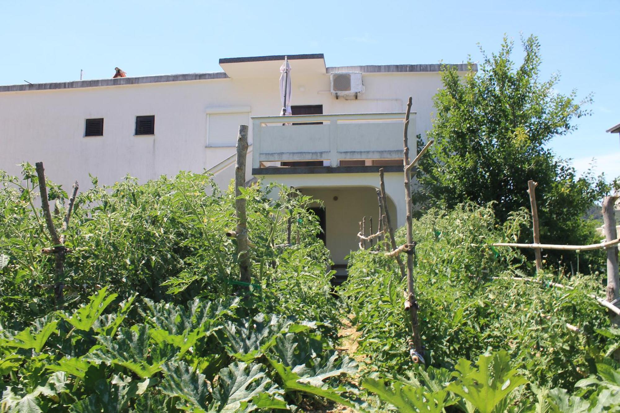 Apartments 501 - Rab Island Oasis Retreat Supetarska Draga Exterior foto