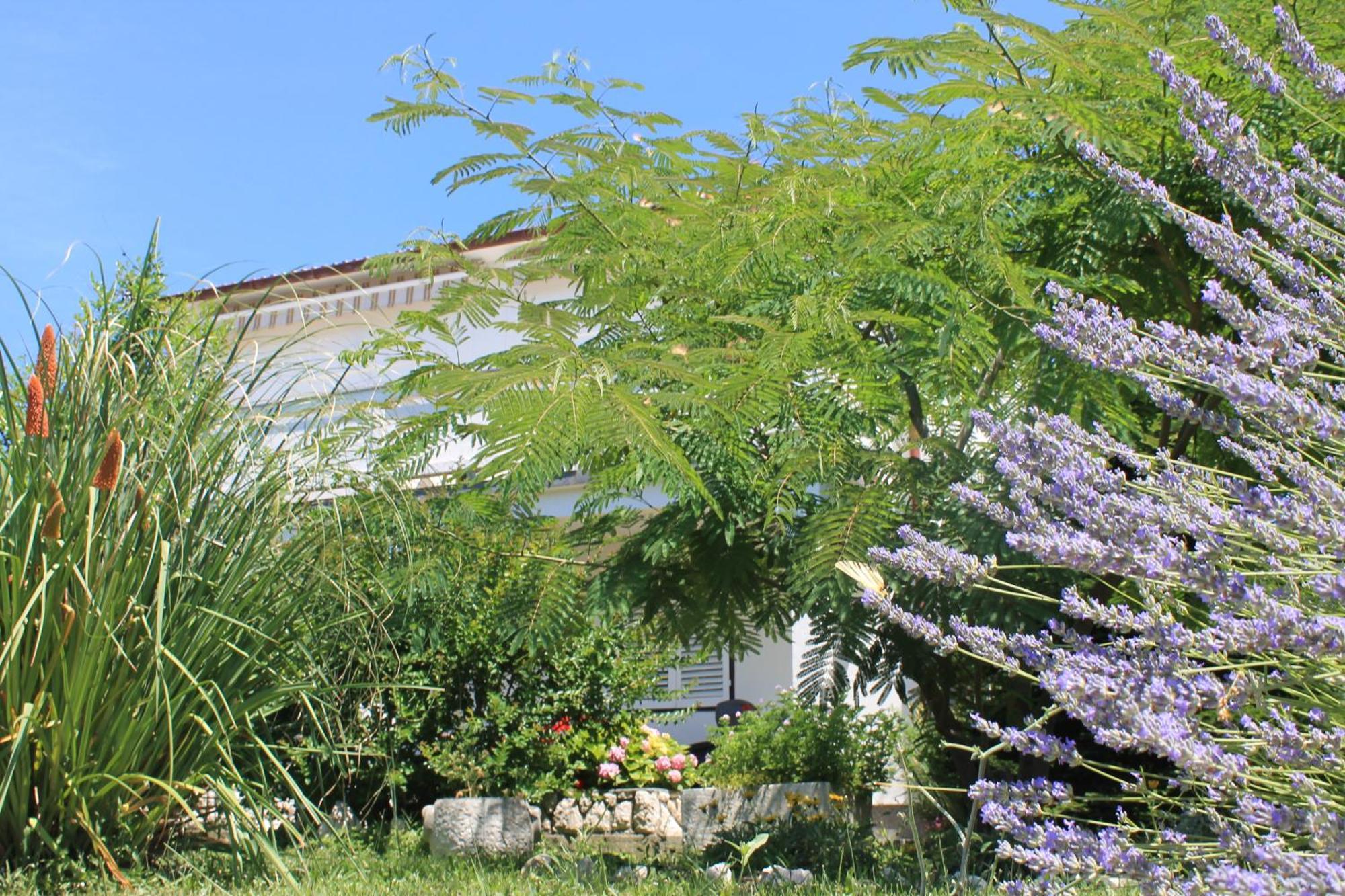 Apartments 501 - Rab Island Oasis Retreat Supetarska Draga Exterior foto