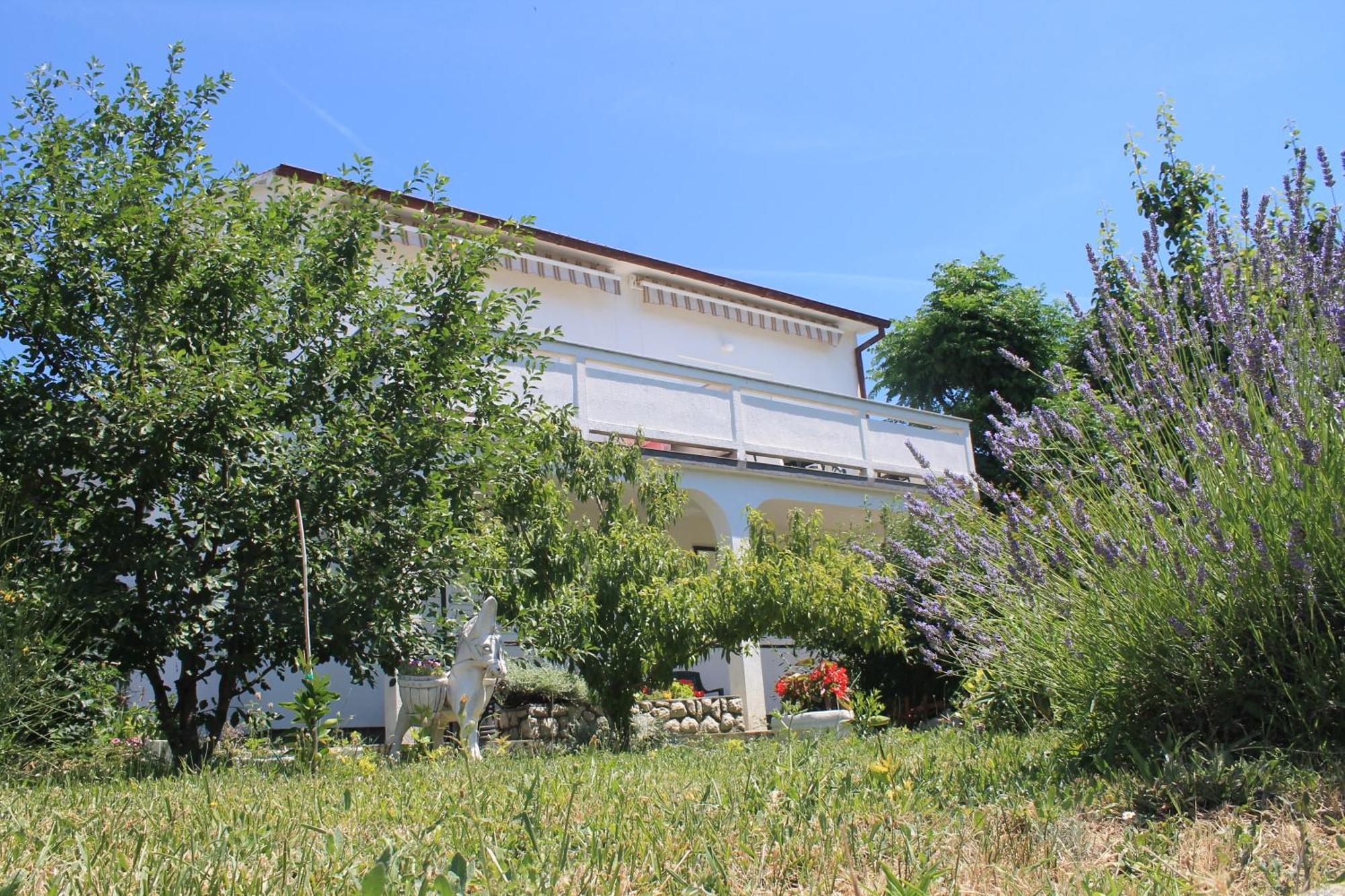 Apartments 501 - Rab Island Oasis Retreat Supetarska Draga Exterior foto