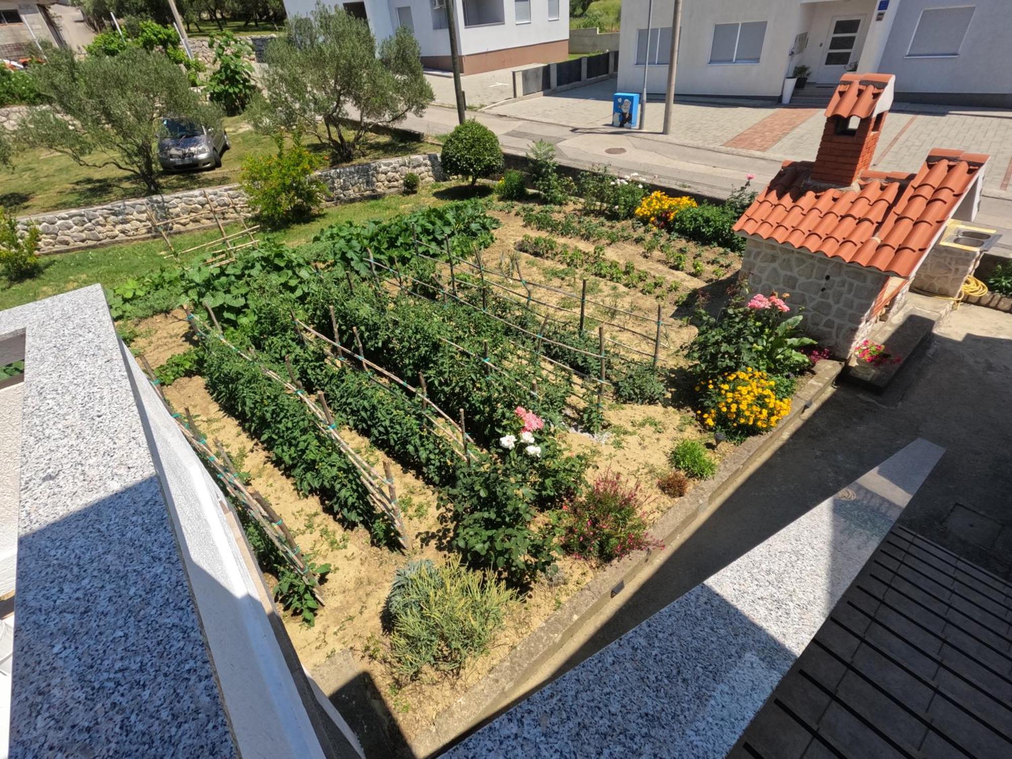 Apartments 501 - Rab Island Oasis Retreat Supetarska Draga Exterior foto